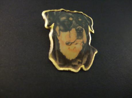 Rottweiler rashond